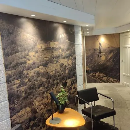 Fritt Beliggende Stor Enebolig Med Hoy Standard Villa Rjukan Exterior photo