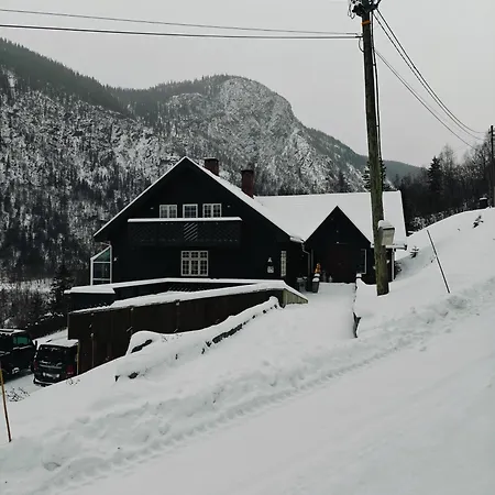 Fritt Beliggende Stor Enebolig Med Hoy Standard Villa Rjukan Exterior photo