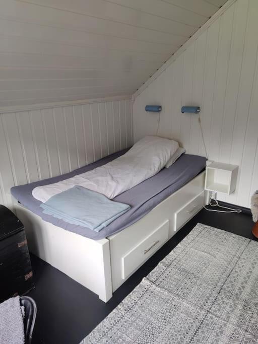 Fritt Beliggende Stor Enebolig Med Hoy Standard Rjukan
