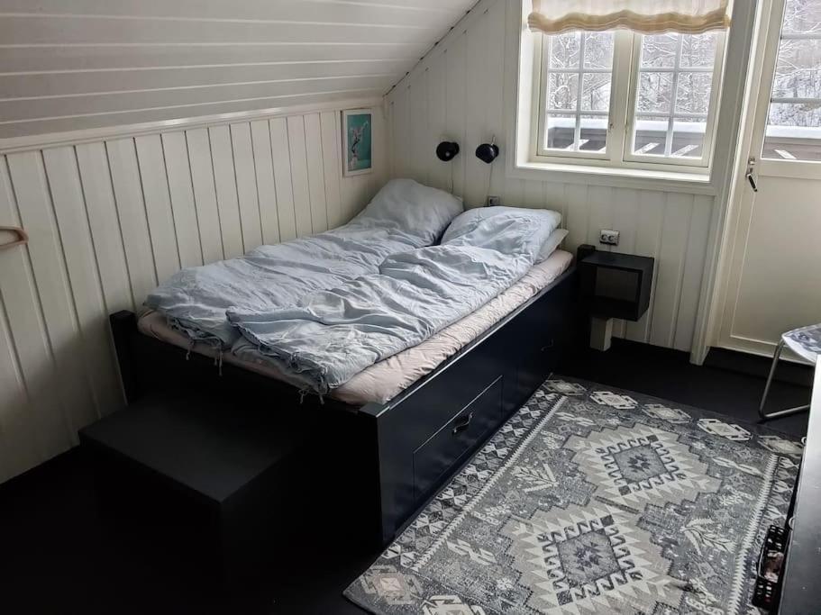 Villa Fritt Beliggende Stor Enebolig Med Hoy Standard Rjukan
